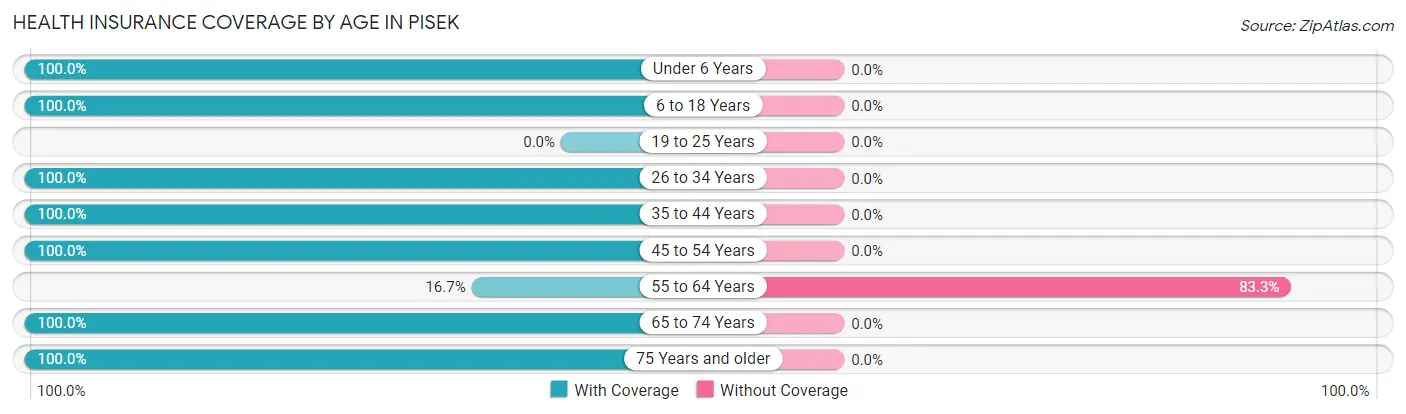Health Insurance Coverage by Age in Pisek