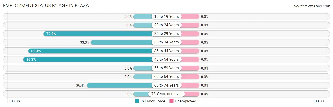 Employment Status by Age in Plaza