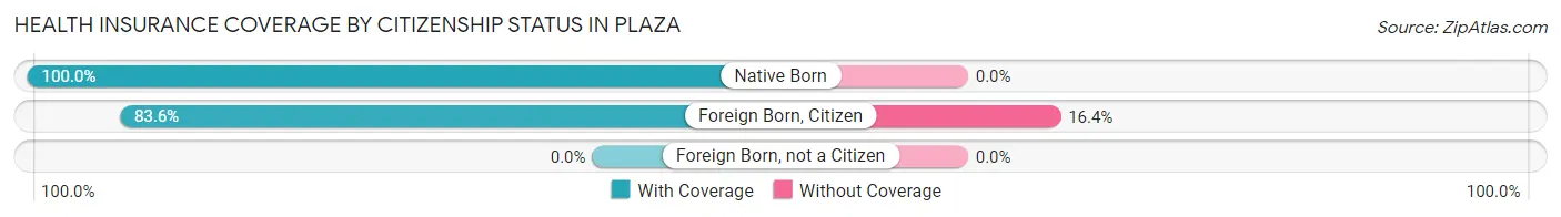 Health Insurance Coverage by Citizenship Status in Plaza