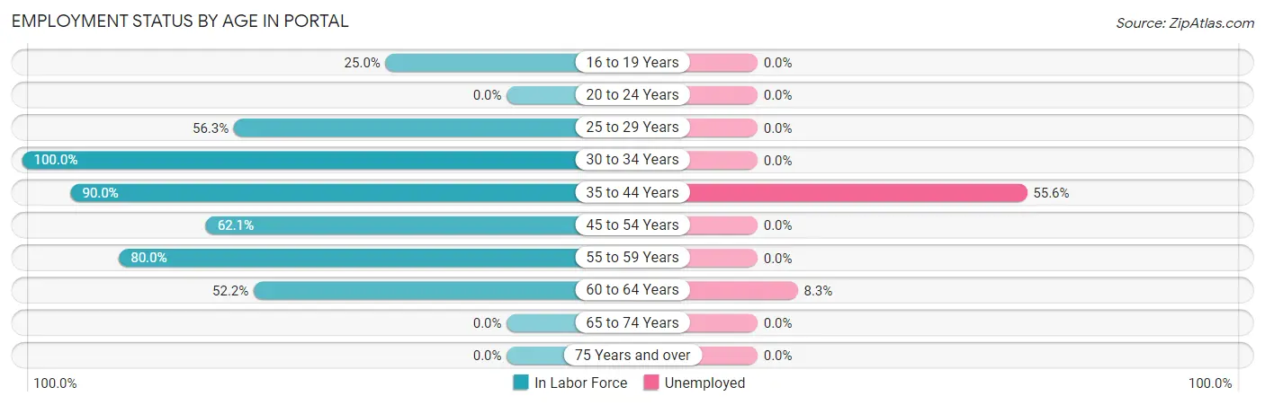Employment Status by Age in Portal