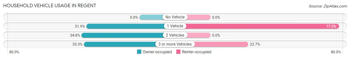 Household Vehicle Usage in Regent