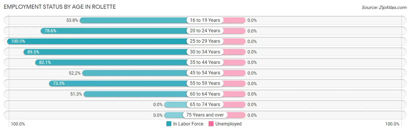 Employment Status by Age in Rolette