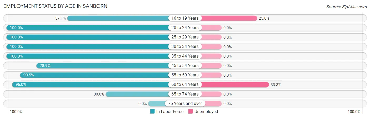 Employment Status by Age in Sanborn