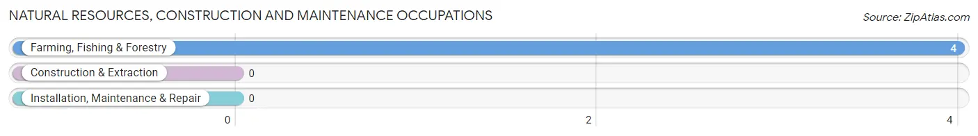 Natural Resources, Construction and Maintenance Occupations in Sarles