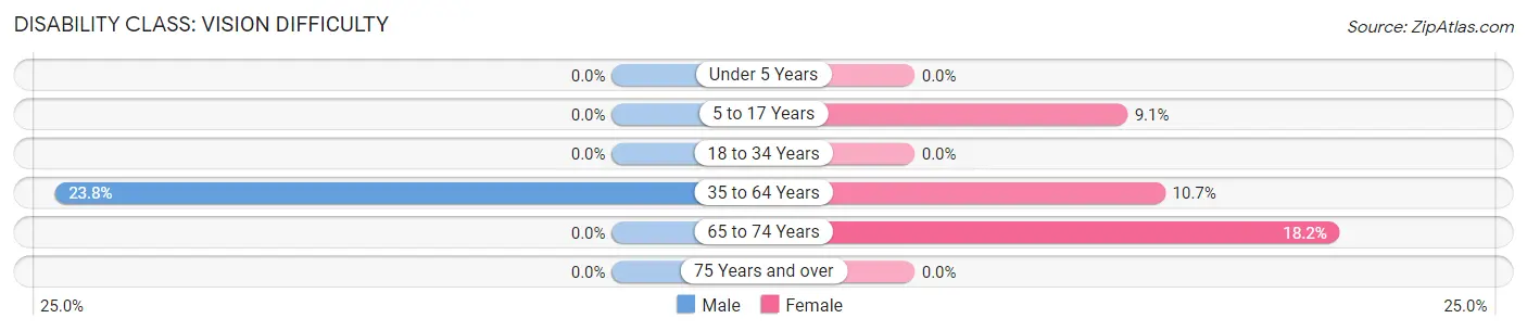 Disability in Selfridge: <span>Vision Difficulty</span>