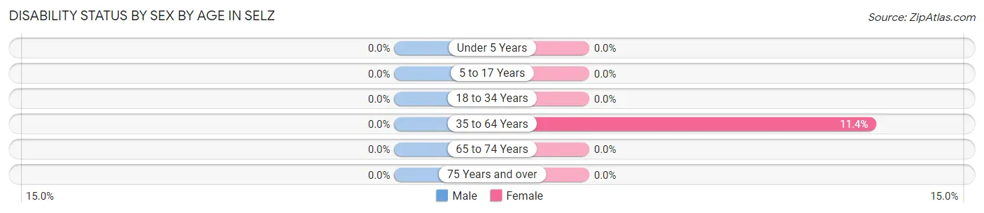 Disability Status by Sex by Age in Selz