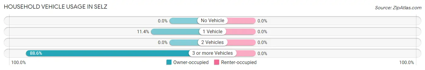 Household Vehicle Usage in Selz