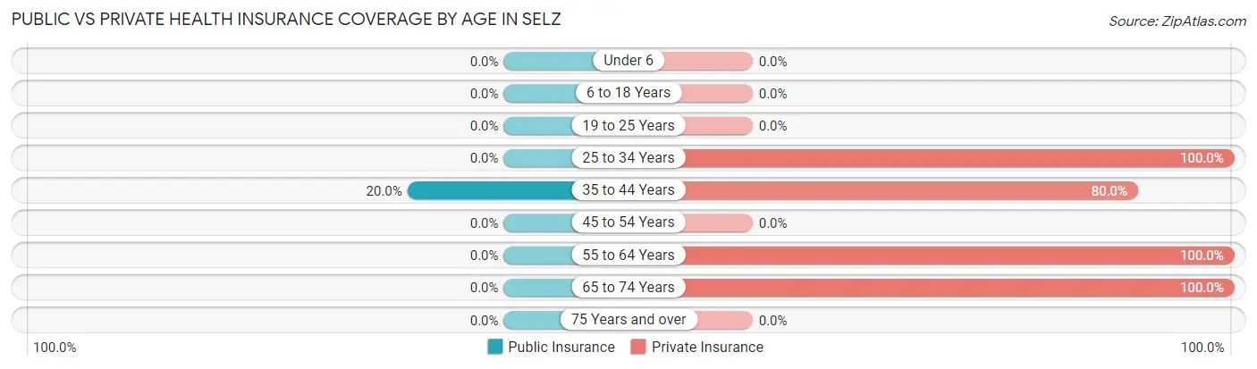 Public vs Private Health Insurance Coverage by Age in Selz