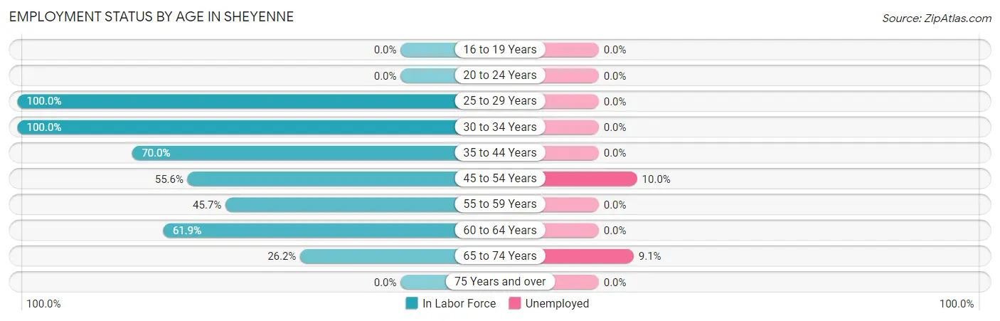 Employment Status by Age in Sheyenne