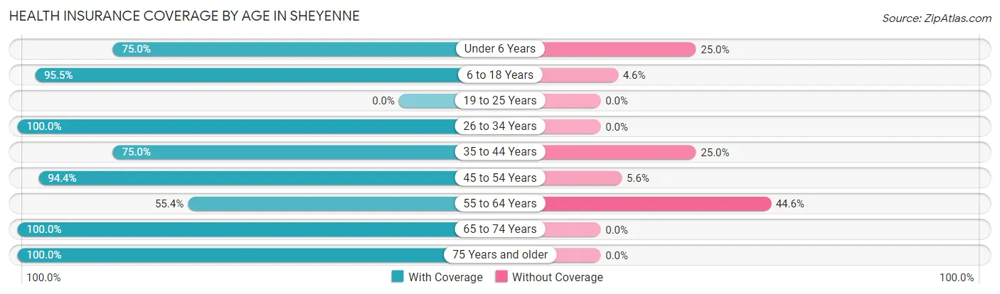 Health Insurance Coverage by Age in Sheyenne