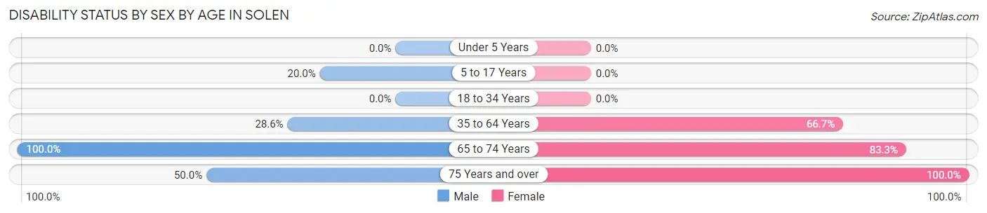 Disability Status by Sex by Age in Solen