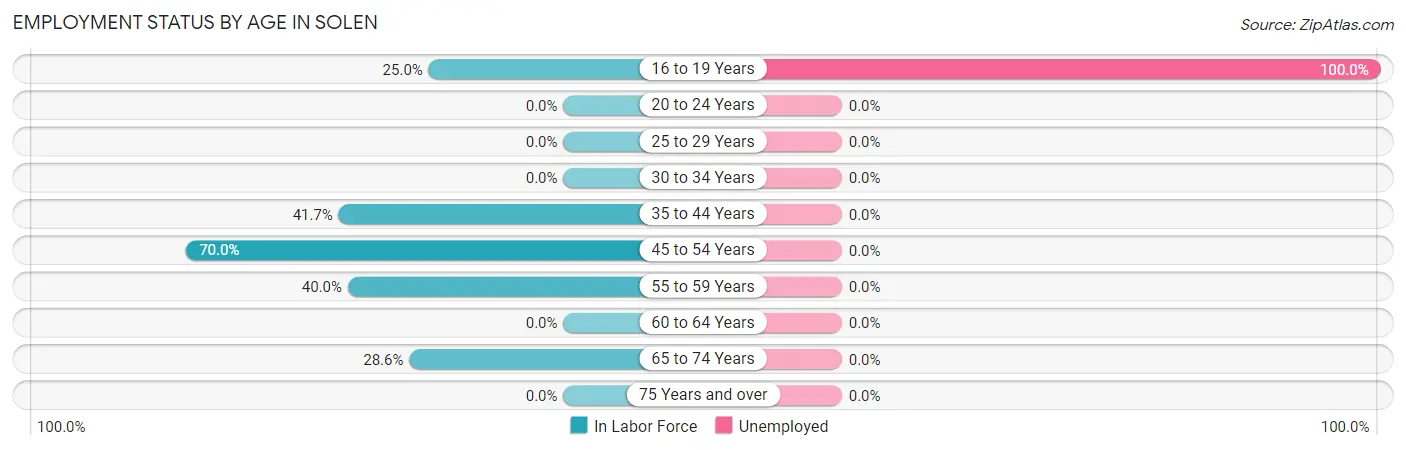 Employment Status by Age in Solen