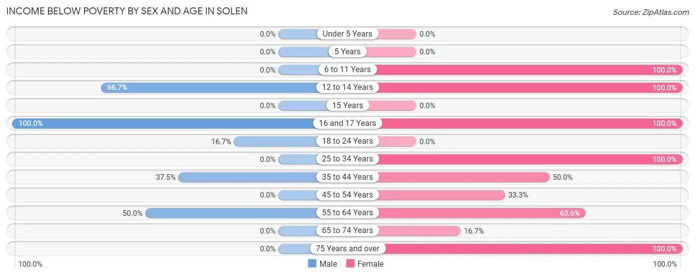 Income Below Poverty by Sex and Age in Solen
