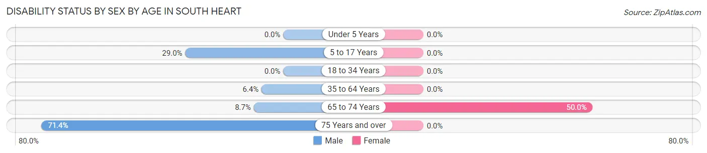 Disability Status by Sex by Age in South Heart