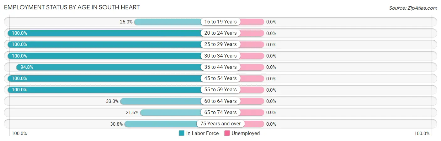Employment Status by Age in South Heart