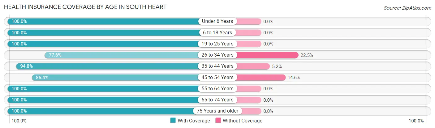 Health Insurance Coverage by Age in South Heart