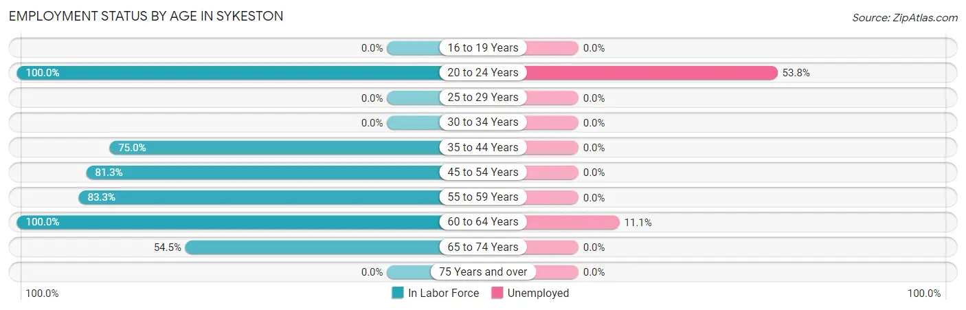 Employment Status by Age in Sykeston