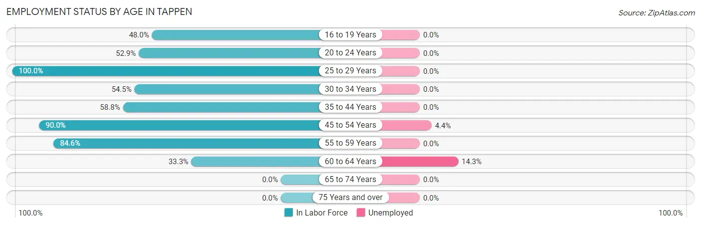 Employment Status by Age in Tappen