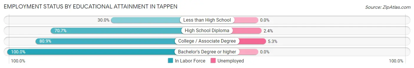 Employment Status by Educational Attainment in Tappen