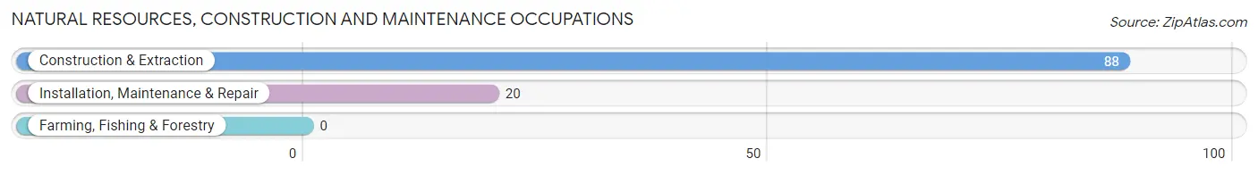 Natural Resources, Construction and Maintenance Occupations in Tioga