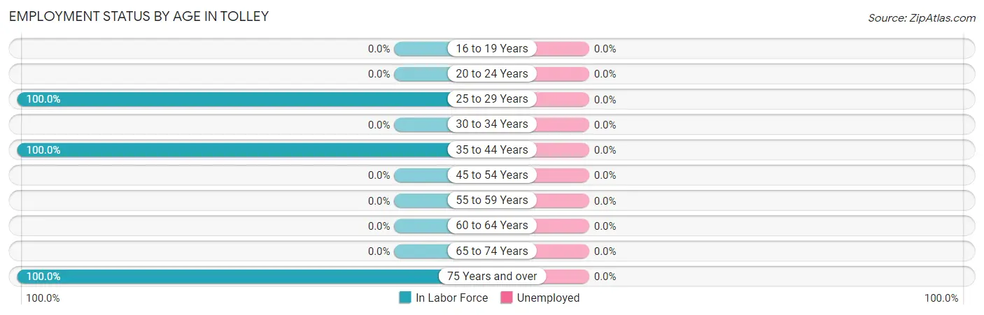 Employment Status by Age in Tolley