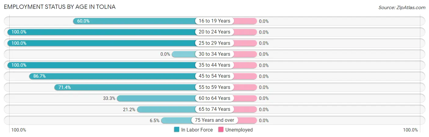Employment Status by Age in Tolna