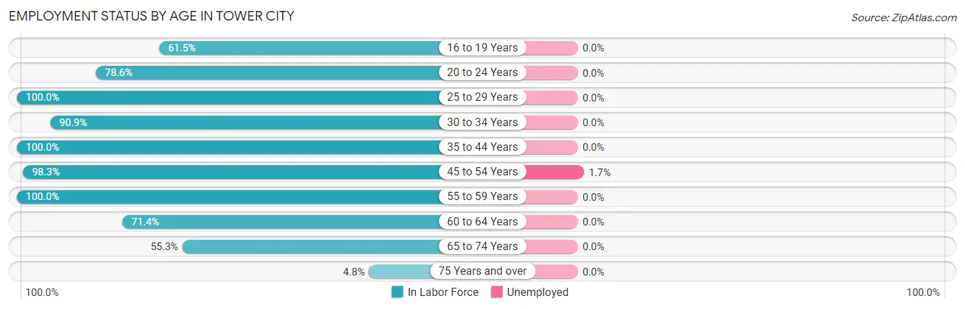 Employment Status by Age in Tower City