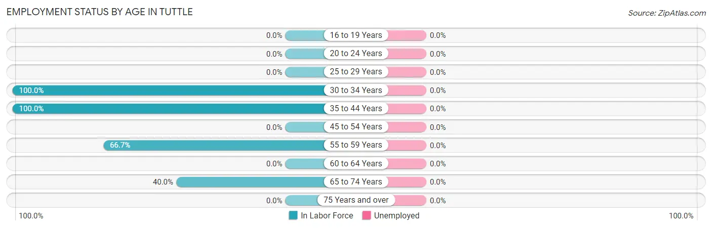 Employment Status by Age in Tuttle