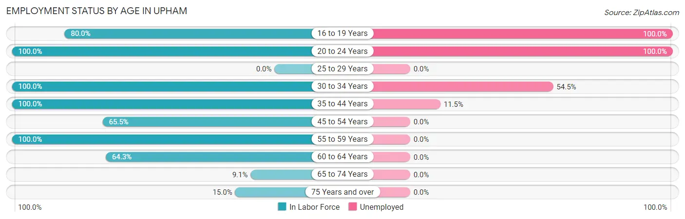 Employment Status by Age in Upham