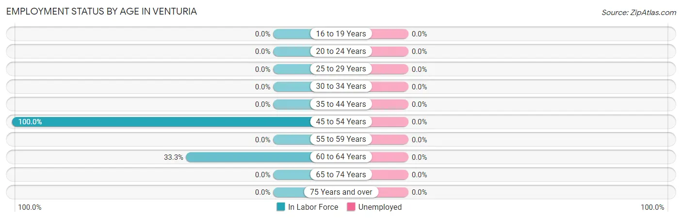 Employment Status by Age in Venturia