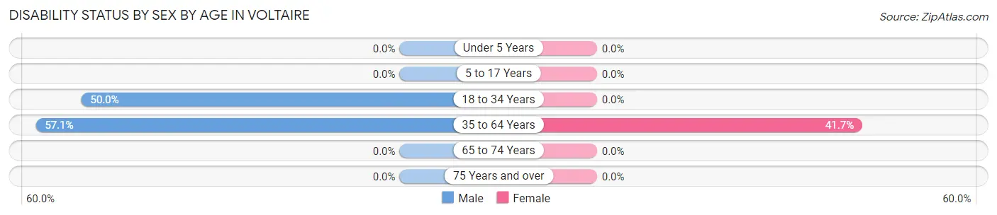 Disability Status by Sex by Age in Voltaire