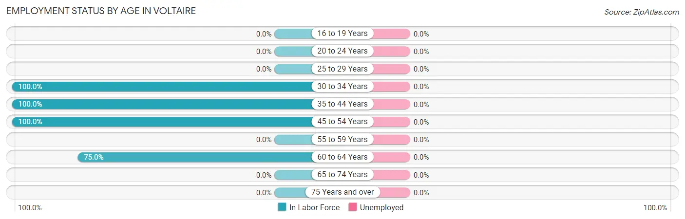 Employment Status by Age in Voltaire
