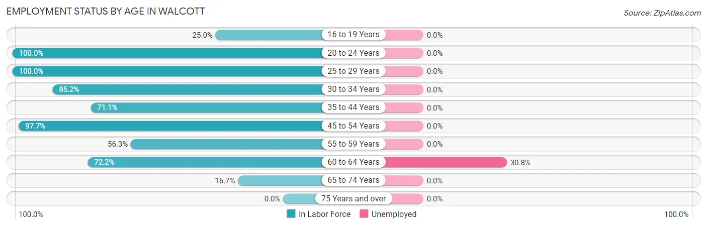 Employment Status by Age in Walcott