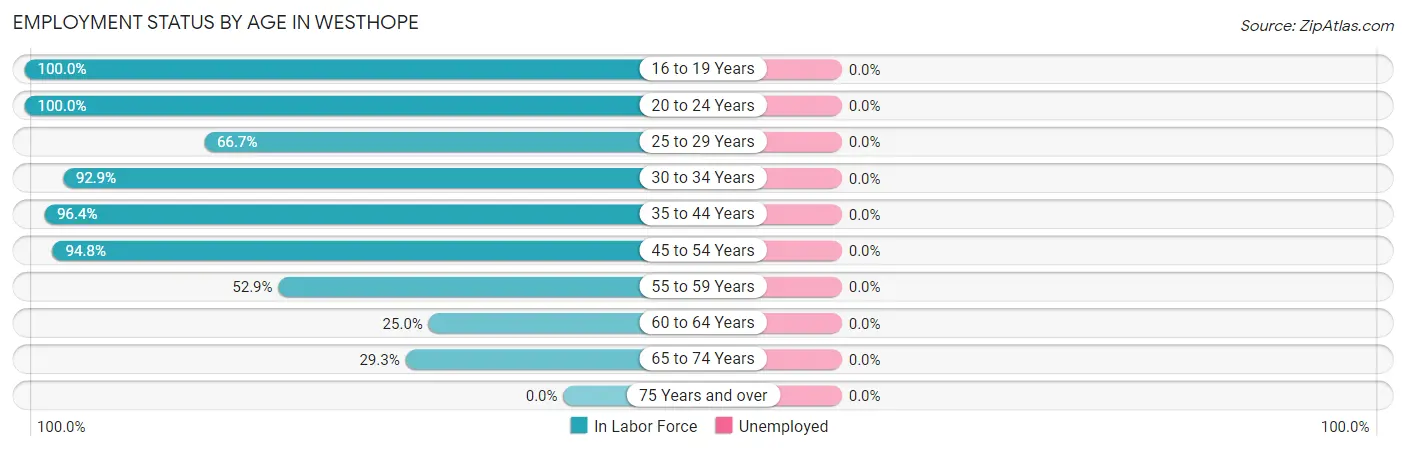 Employment Status by Age in Westhope