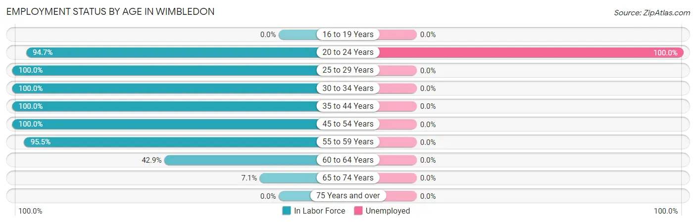 Employment Status by Age in Wimbledon