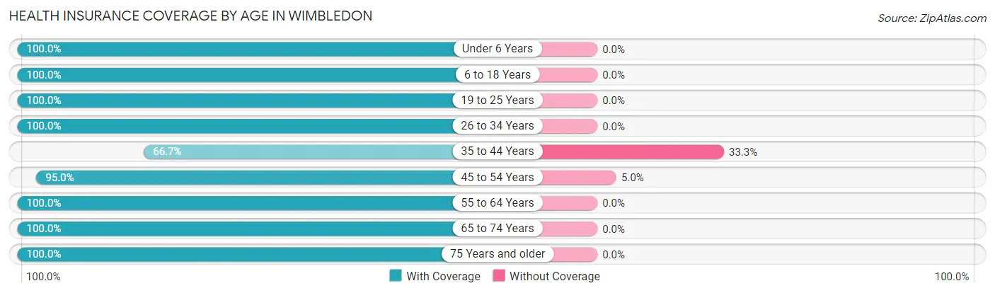 Health Insurance Coverage by Age in Wimbledon