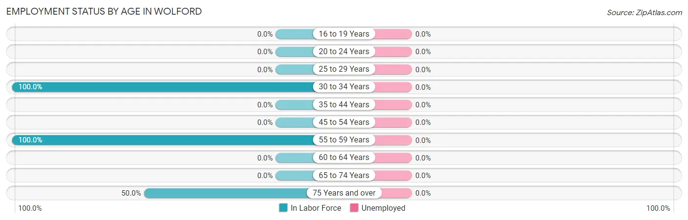 Employment Status by Age in Wolford