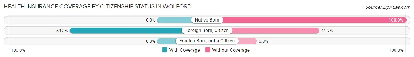 Health Insurance Coverage by Citizenship Status in Wolford