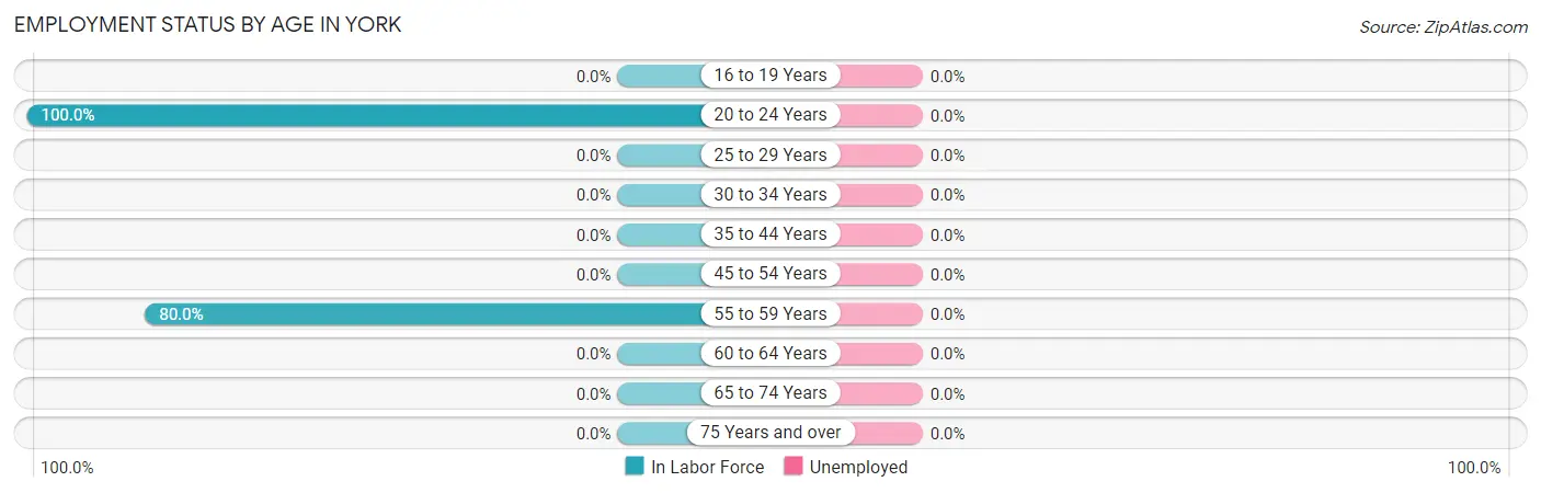 Employment Status by Age in York