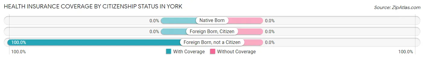 Health Insurance Coverage by Citizenship Status in York