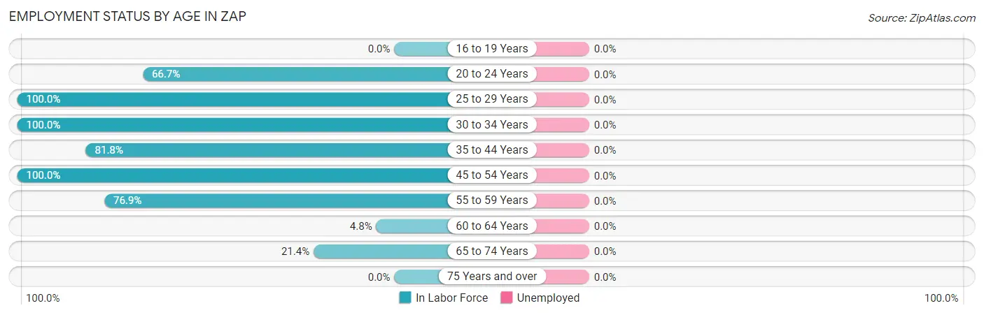Employment Status by Age in Zap