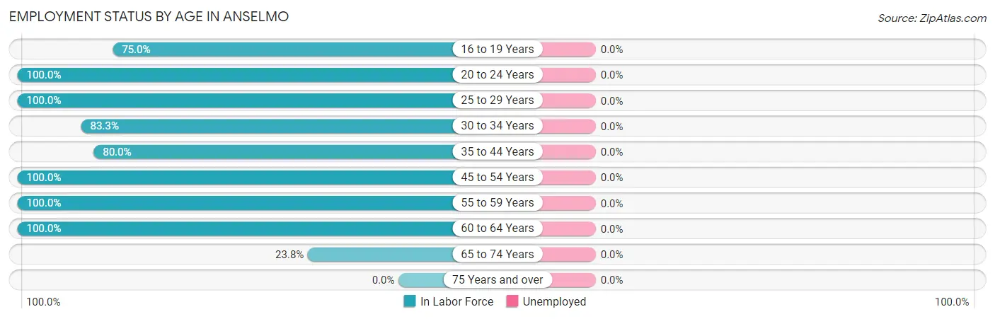 Employment Status by Age in Anselmo