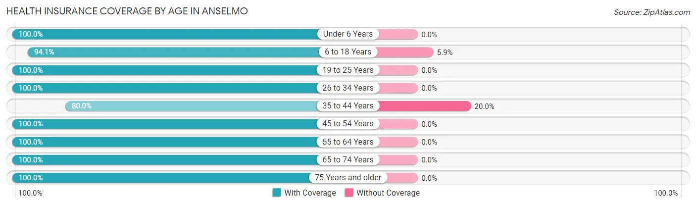 Health Insurance Coverage by Age in Anselmo