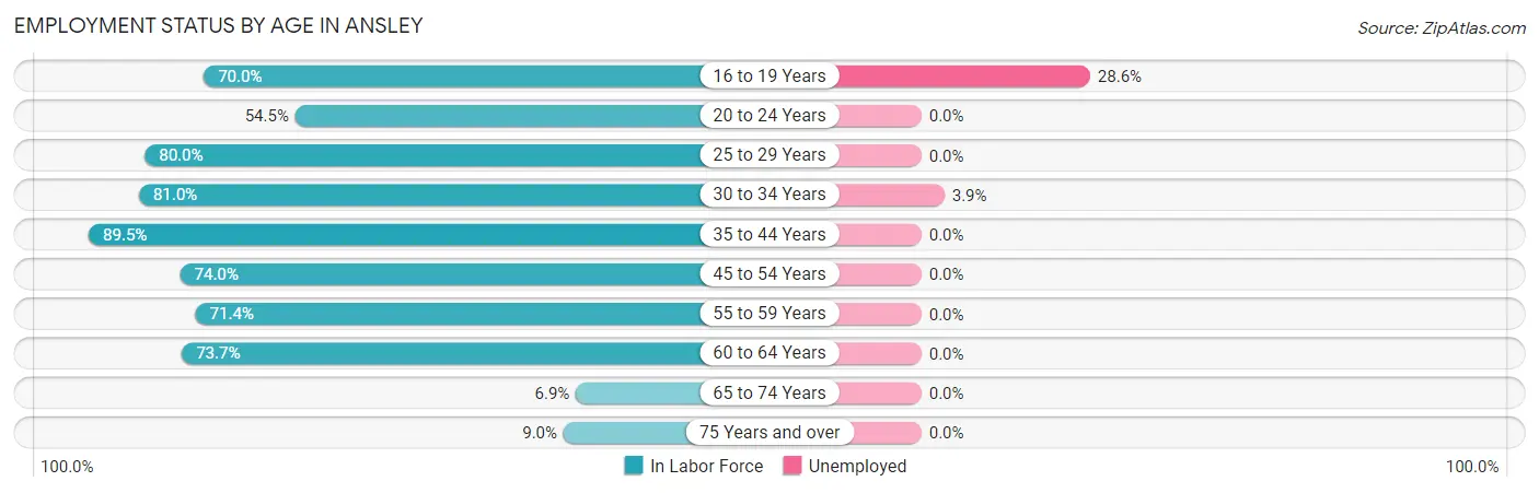 Employment Status by Age in Ansley