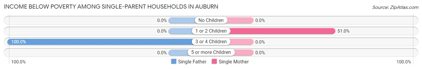 Income Below Poverty Among Single-Parent Households in Auburn