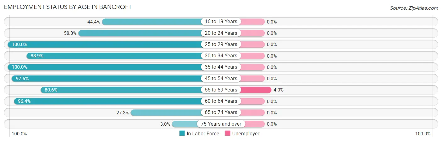 Employment Status by Age in Bancroft