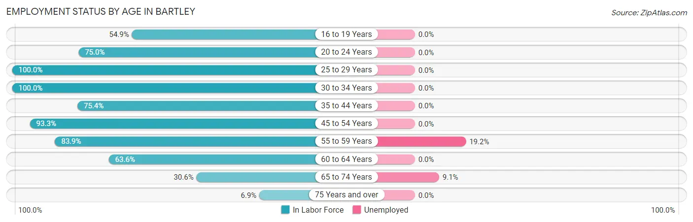 Employment Status by Age in Bartley