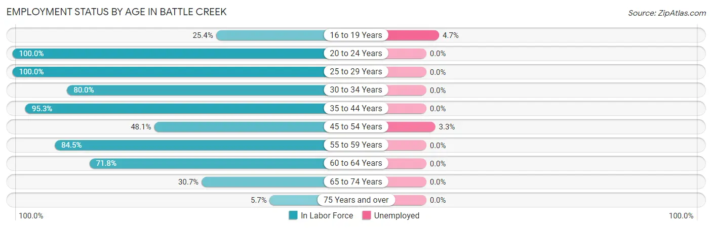 Employment Status by Age in Battle Creek