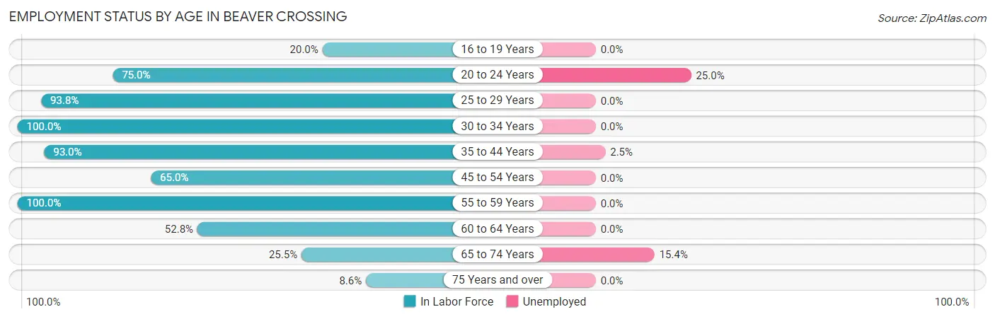 Employment Status by Age in Beaver Crossing