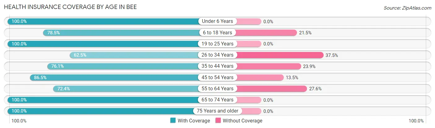 Health Insurance Coverage by Age in Bee